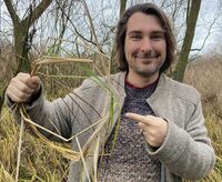 Clemens Kleinspehn analysiert den Life cycle eines Paludikultur-Produkts (Foto: N. Körner)