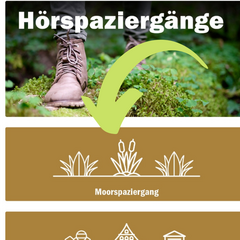 Moorspaziergang in Greifswald App (Screenshot aus Greifswald App)