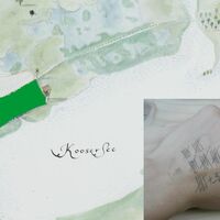 Arbeiten entstanden aus der Paludikultur-Residenz von Lisa Marie Quester (Foto: L. M. Quester)