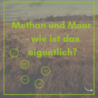 Methan und Moor - wie ist das eigentlich? (Illustration: GMC per canva).