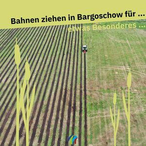 Bodenbearbeitung für Schilfpflanzung Polder Bargischow Süd (Foto: Samiel Knobloch)