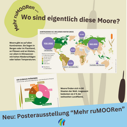 Ankündigung Posterausstellung "Mehr ruMOORen"