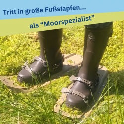 SOM-Card mit Beinen in Gummistiefeln und Schneeschuhen, um über Torfmoos zu laufen (Foto: Amelie Hünebeck-Wells)