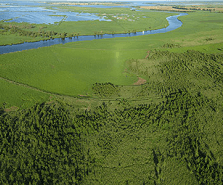 Über uns  Greifswald Moor Centrum