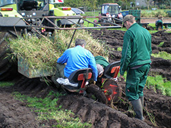 Schilfpflanzung mit Forstmaschine